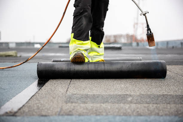 Best Roof Insulation Installation  in West Pelzer, SC